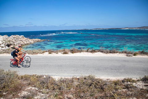 Experience Rottnest With Ferry & Bike Hire From Perth Or Fremantle - Accommodation Brunswick Heads 2