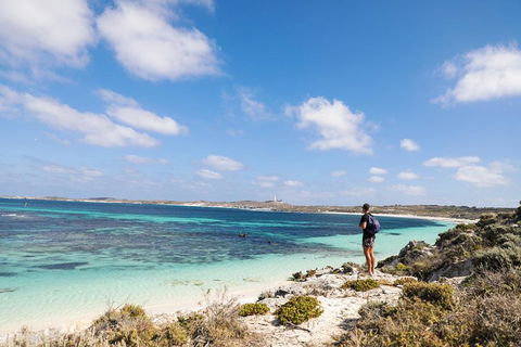 Experience Rottnest With Ferry & Bike Hire From Perth Or Fremantle - Accommodation Brunswick Heads 3