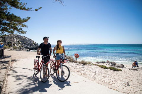 Experience Rottnest With Ferry & Bike Hire From Perth Or Fremantle - Accommodation Brunswick Heads 4