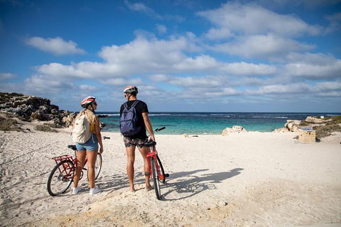 Experience Rottnest With Ferry & Bike Hire From Perth Or Fremantle - Accommodation Brunswick Heads 5