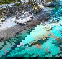 Rottnest Island Round-Trip Ferry from Perth or Fremantle - Accommodation Brunswick Heads