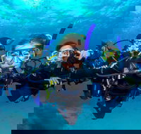 Great Barrier Reef Diving and Snorkeling Cruise from Cairns - Accommodation Brunswick Heads