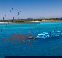 Ocean Free Green Island  Great Barrier Reef Snorkel Cruise Cairns 25 guests - Accommodation Brunswick Heads