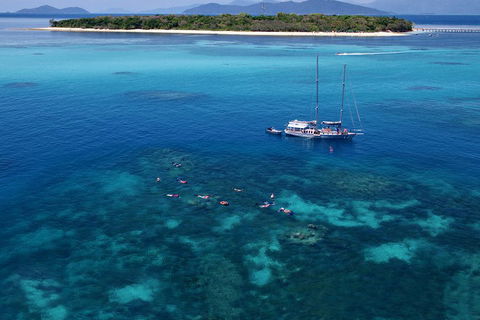 Ocean Free Green Island & Great Barrier Reef Snorkel Cruise, Cairns 25 Guests - Accommodation Brunswick Heads 2