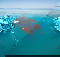 Ocean Freedom Great Barrier Reef Personal Luxury Snorkel  Dive Cruise Cairns - Accommodation Brunswick Heads