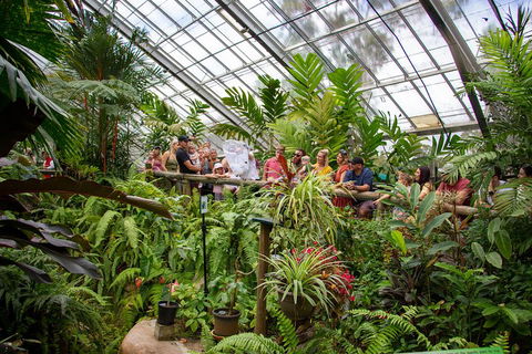 Australian Butterfly Sanctuary - Accommodation Brunswick Heads 0