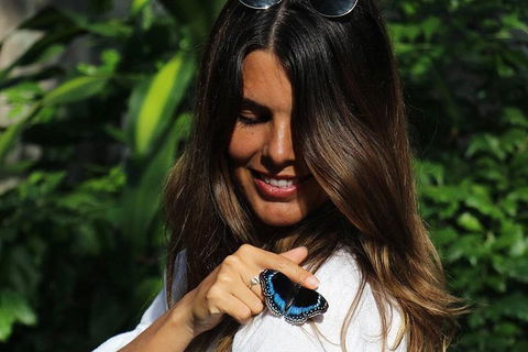 Australian Butterfly Sanctuary - Accommodation Brunswick Heads 2