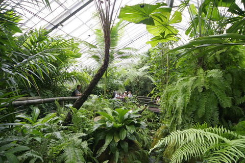 Australian Butterfly Sanctuary - Accommodation Brunswick Heads 3