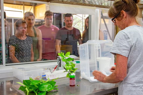 Australian Butterfly Sanctuary - Accommodation Brunswick Heads 5