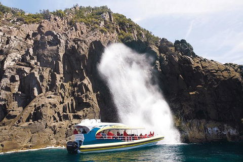 Full-Day Bruny Island Cruises Day Tour From Hobart - Accommodation Brunswick Heads 4