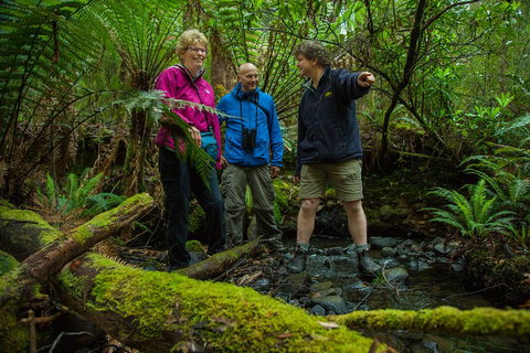 Bruny Island Traveller - Gourmet Tasting And Sightseeing Day Trip From Hobart - Accommodation Brunswick Heads 1