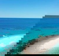 Ocean Safari Great Barrier Reef Experience in Cape Tribulation - Accommodation Brunswick Heads