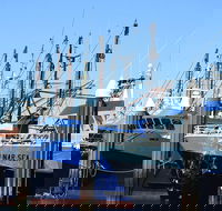 One Day Port Lincoln Tour - Tasting Eyre - Accommodation Brunswick Heads