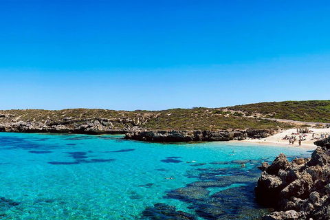 Rottnest Island Roundtrip Fast Ferry From Hillarys Boat Harbour - Accommodation Brunswick Heads 4