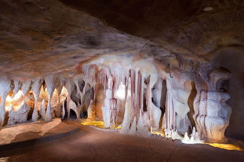 Springbrook AndTamborine Rainforest Tour Incl Natural Bridge And Glow Worm Cave - Accommodation Brunswick Heads 4