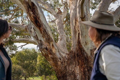 NEW TOUR - Kangaroo Island Road To Recovery Tour (1 Day/1 Night) - Accommodation Brunswick Heads 0