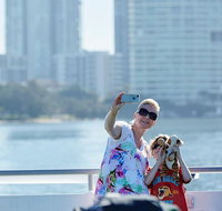 Lunch Buffet Cruise on the Gold Coast - Accommodation Brunswick Heads