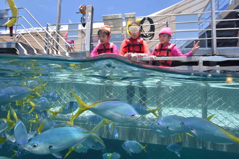 Outer Reef Pontoon Experience From Cairns - Accommodation Brunswick Heads 0