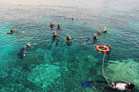 Seastar Luxury Outer Great Barrier Reef Island And Reef Tour From Cairns - Accommodation Brunswick Heads 2
