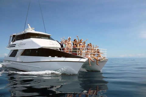 Seastar Luxury Outer Great Barrier Reef Island And Reef Tour From Cairns - Accommodation Brunswick Heads 4