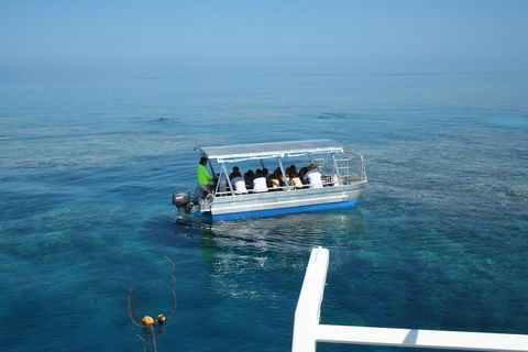 Seastar Luxury Outer Great Barrier Reef Island And Reef Tour From Cairns - Accommodation Brunswick Heads 5