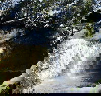 Cradle Mountain Day Tour from Launceston Including Lunch - Accommodation Brunswick Heads