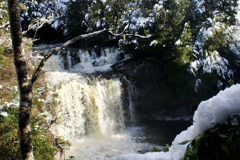 Cradle Mountain Day Tour From Launceston Including Lunch - Accommodation Brunswick Heads 0