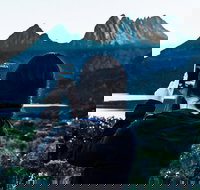 Cradle Mountain Park Explorer Guided Tour - Accommodation Brunswick Heads