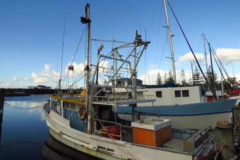 Beyond Byron Hinterland Tour - Accommodation Brunswick Heads 0