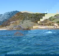 Kayaking with Dolphins in Byron Bay Guided Tour - Accommodation Brunswick Heads