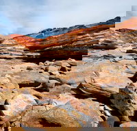 Broome City Sightseeing Tour with Optional Camel Ride - Accommodation Brunswick Heads