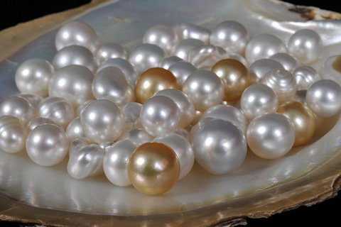 Cape Leveque 4WD Tour From Broome With Optional Return Flight - Accommodation Brunswick Heads 5