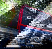 Blue Mountains Hop-on Hop-off Tour with Optional Scenic World Rides - Accommodation Brunswick Heads