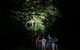 Atherton Tablelands Rain Forest By Night From Cairns - thumb 2