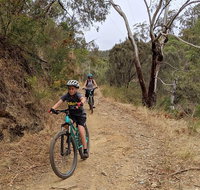 Mount Lofty Descent Bike Tour from Adelaide - Accommodation Brunswick Heads