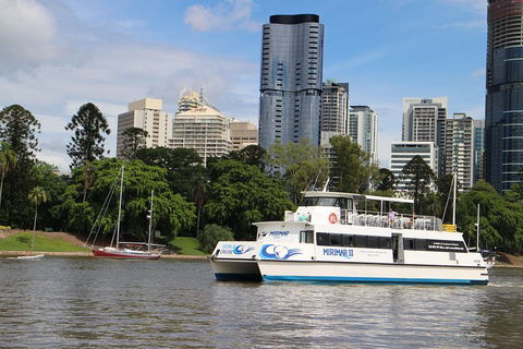 Lone Pine Koala Sanctuary Admission With Brisbane River Cruise - Accommodation Brunswick Heads 2