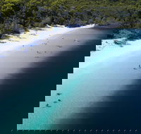 All-Inclusive Fraser Island Day Tour