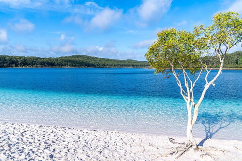 Lake McKenzie Full-Day Tour With Lunch From Hervey Bay - Accommodation Brunswick Heads 1