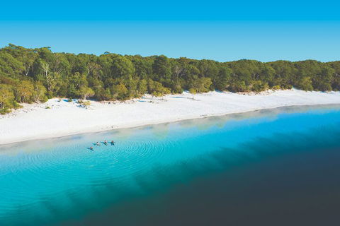 Lake McKenzie Full-Day Tour With Lunch From Hervey Bay - Accommodation Brunswick Heads 4