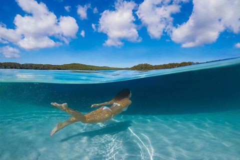 Lake McKenzie Full-Day Tour With Lunch From Hervey Bay - Accommodation Brunswick Heads 5