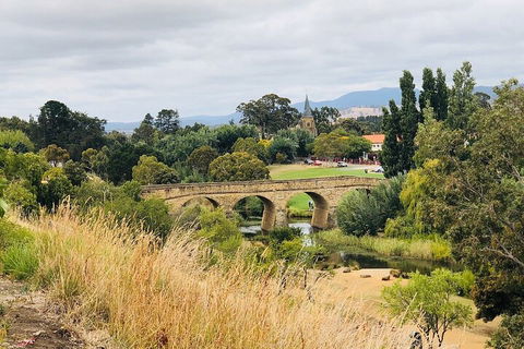 Day Tour In Mt. Field, Mt. Wellington, Bonorong Wildlife Sanctuary And Richmond - Accommodation Brunswick Heads 3