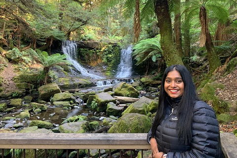 Day Tour In Mt. Field, Mt. Wellington, Bonorong Wildlife Sanctuary And Richmond - Accommodation Brunswick Heads 5