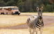 Werribee Open Range Zoo General Admission Ticket - thumb 5