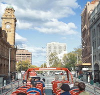 Hobart Hop-On Hop-Off Bus  kunanyi/Mt Wellington Tour - Accommodation Brunswick Heads