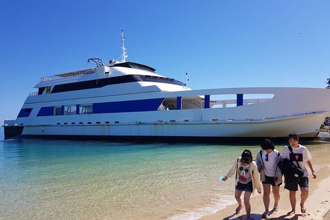 Moreton Island Day Trip (Kayak, Snorkel & Sandboard) Frm Brisbane Or Gold Coast - Accommodation Brunswick Heads 0