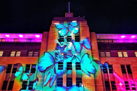 Vivid 90-Minute Sydney Harbour Small Group Catamaran Cruise - Accommodation Brunswick Heads 0