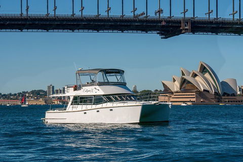Vivid 90-Minute Sydney Harbour Small Group Catamaran Cruise - Accommodation Brunswick Heads 2