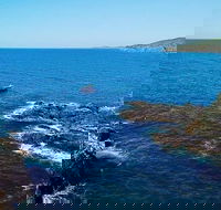 Julian Rocks Byron Bay Cruise - Accommodation Brunswick Heads