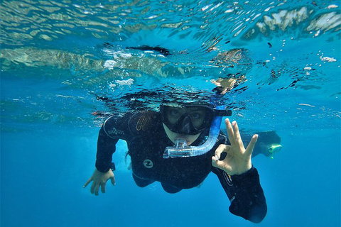3 Day Whitsundays Sailing And Diving Adventure: Kiana - Accommodation Brunswick Heads 0