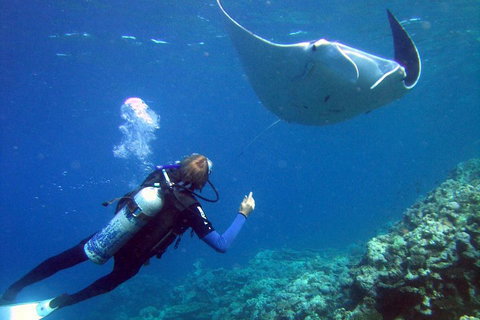 3 Day Whitsundays Sailing And Diving Adventure: Kiana - Accommodation Brunswick Heads 3